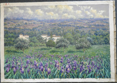 Antonio Sannino - Campo di Iris