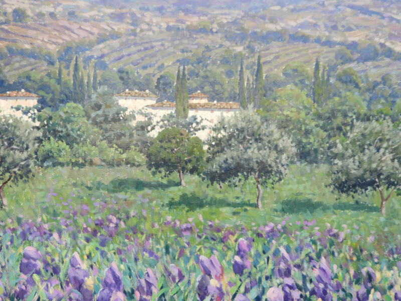 Antonio Sannino - Campo di Iris