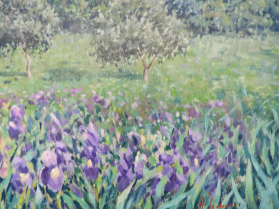 Antonio Sannino - Campo di Iris