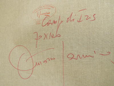 Antonio Sannino - Campo di Iris