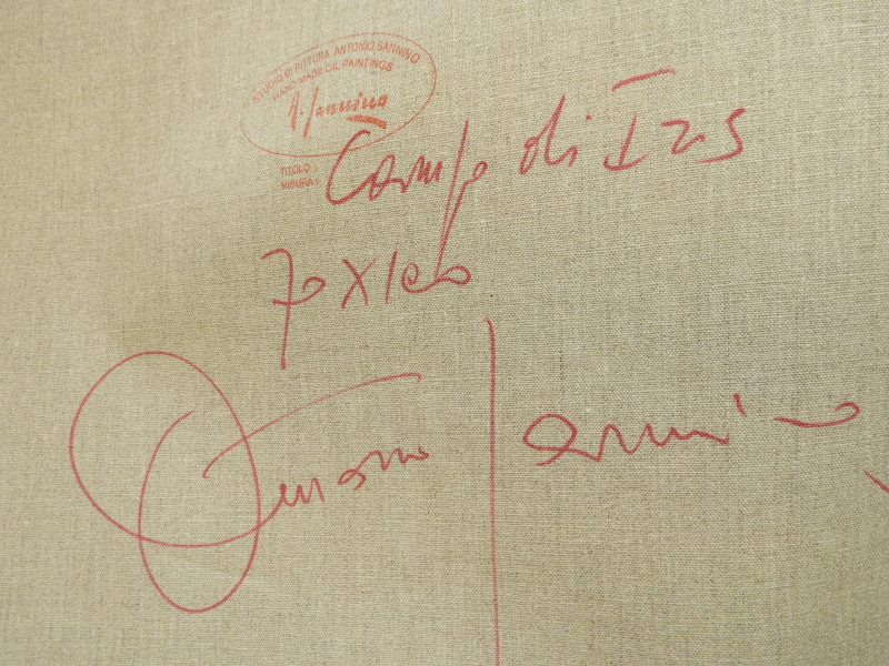 Antonio Sannino - Campo di Iris