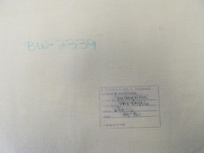 Otto Campagnari - Poppy Fields I