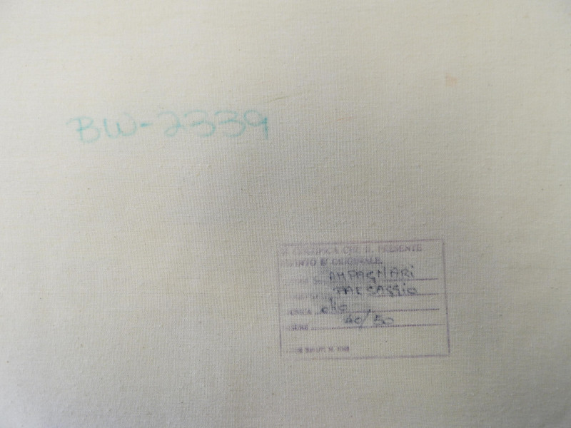 Otto Campagnari - Poppy Fields I