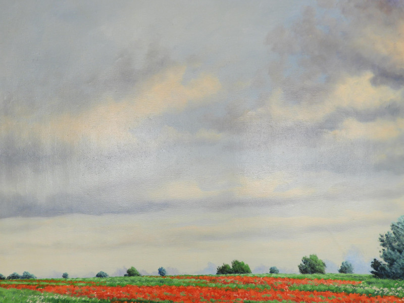 Otto Campagnari - Poppy Fields IV