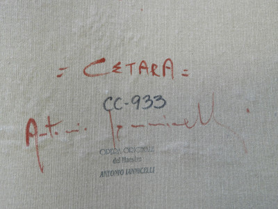 Antonio Iannicelli - Cetara