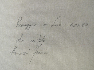 Ferruccio Marinosci - Passaggio in Luce