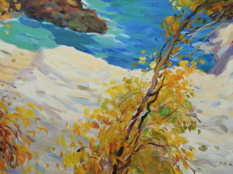 MALVA - Riveria Scene