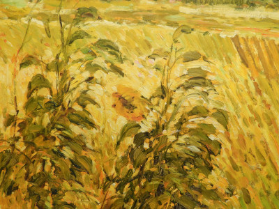 MALVA - Autumn Fields