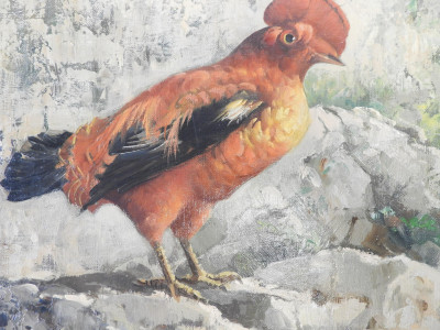 Honoré Camos - Two Guianan Cock-of-the-Rock