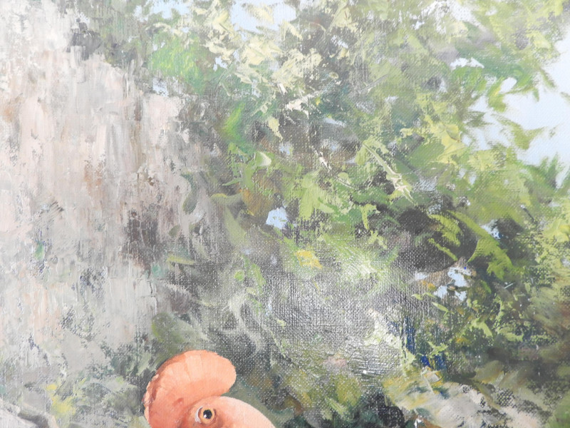 Honoré Camos - Two Guianan Cock-of-the-Rock