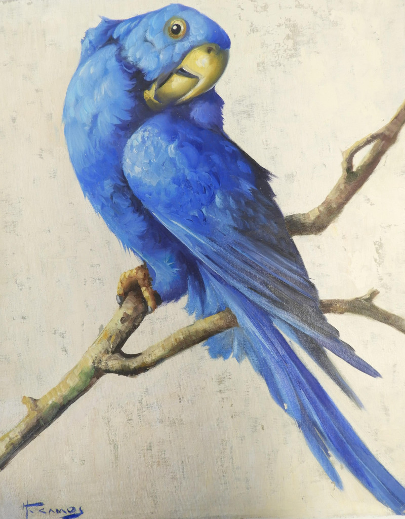 Honoré Camos - Blue Ara