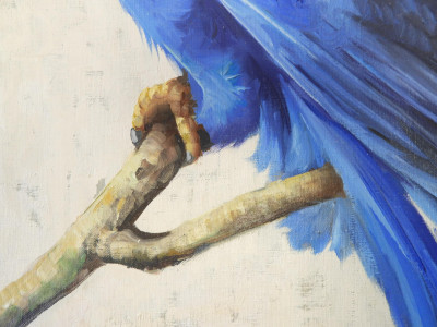 Honoré Camos - Blue Ara