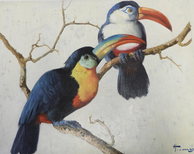 Honoré Camos - Two Tucans