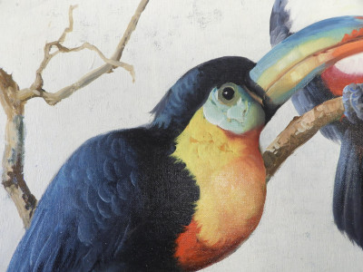 Honoré Camos - Two Tucans