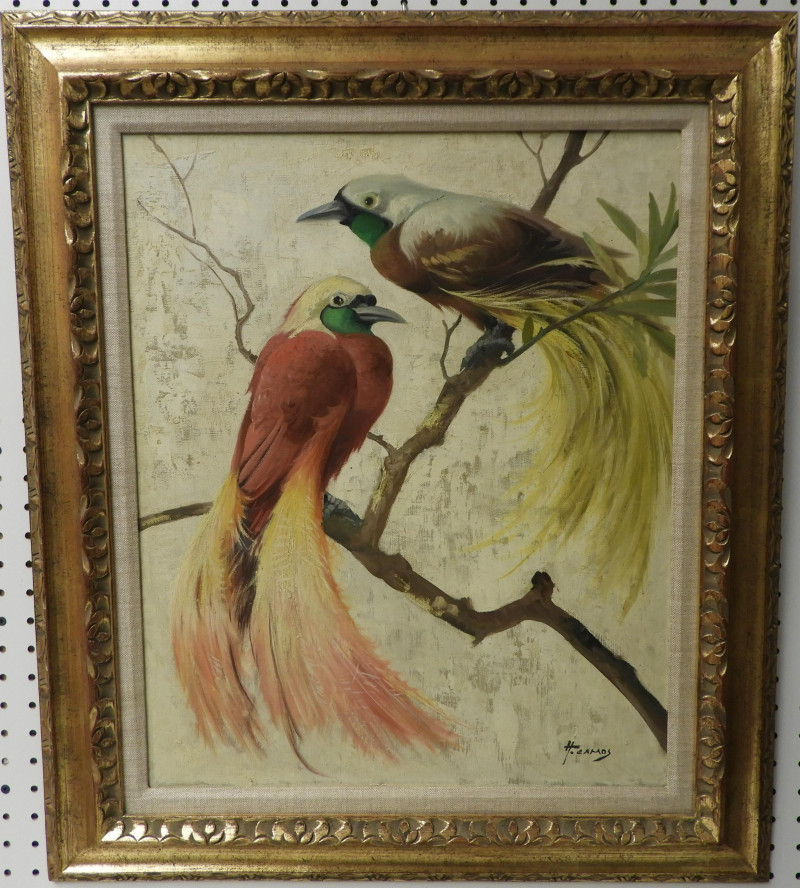 Honoré Camos - Greater Bird of Paradise