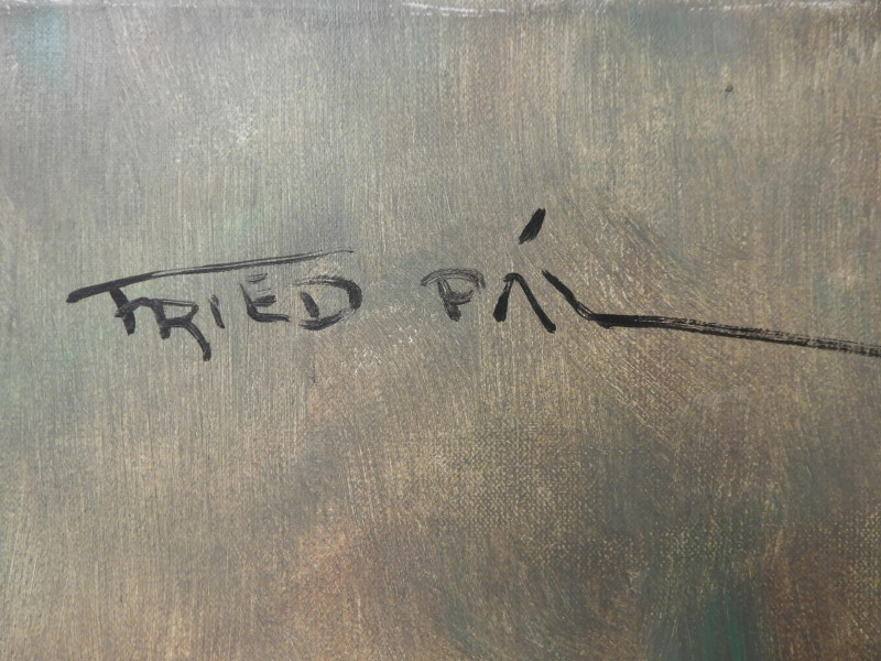 Pal Fried - Folk Dancers