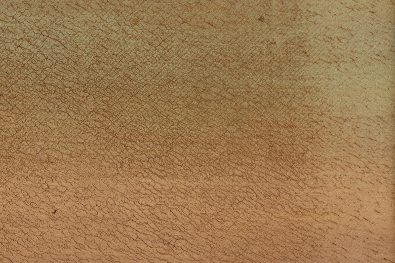 19th C. Hudson River School Style O/C