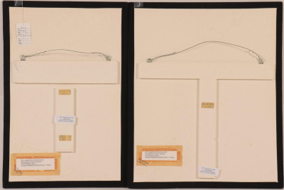 (Vincent) Edmond Louis (Poitout), 2 Photos