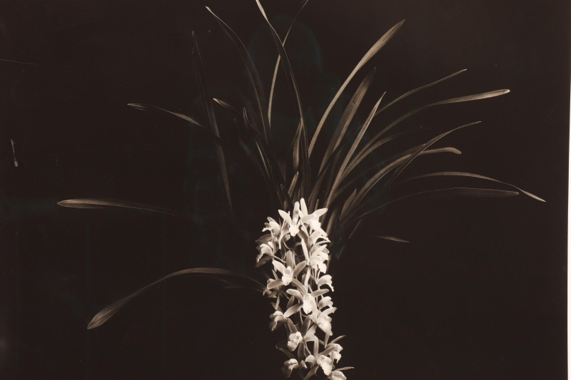 Jonathan Singer - B&amp;W Photo Print