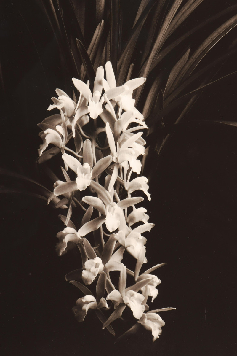 Jonathan Singer - B&amp;W Photo Print