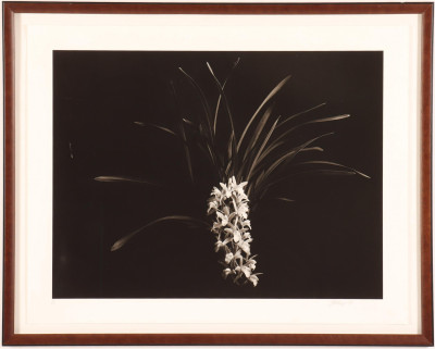 Jonathan Singer - B&amp;W Photo Print