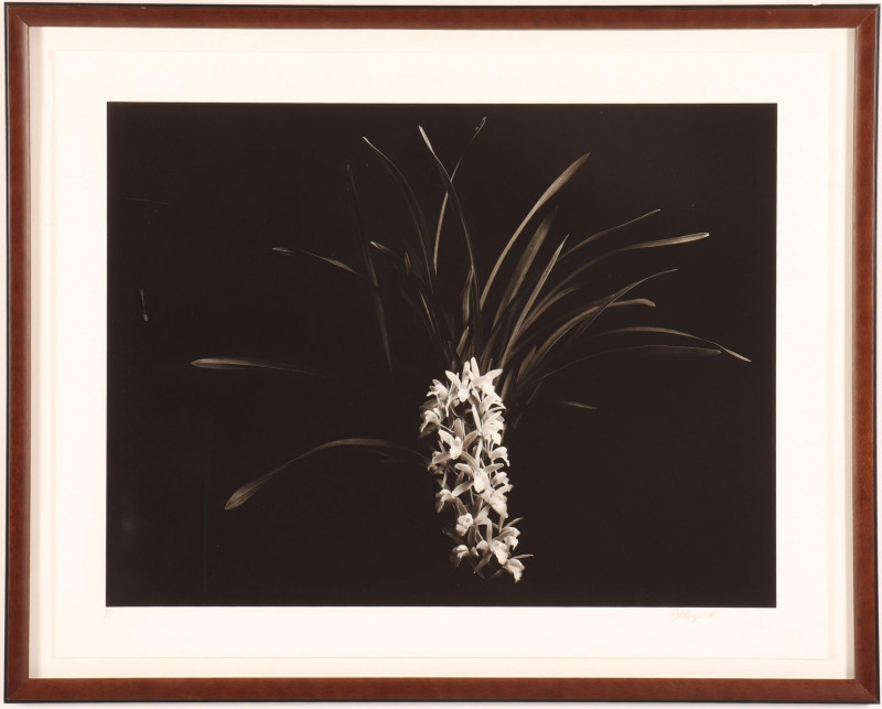 Jonathan Singer - B&amp;W Photo Print