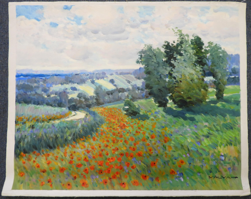 MALVA - Soft Rolling Fields of Poppies