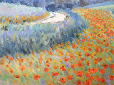 MALVA - Soft Rolling Fields of Poppies