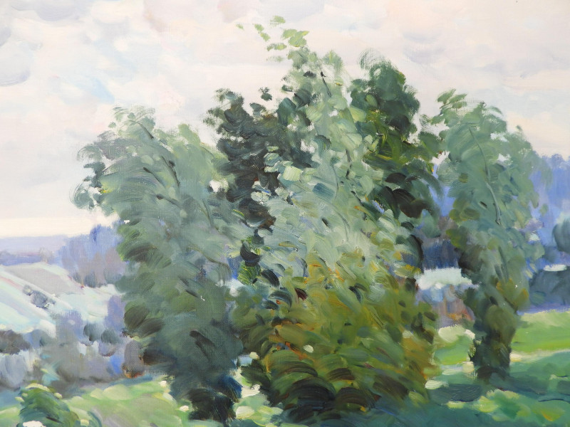 MALVA - Soft Rolling Fields of Poppies