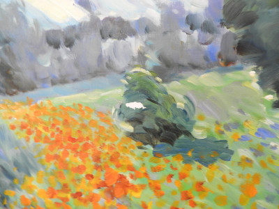 MALVA - Soft Rolling Fields of Poppies