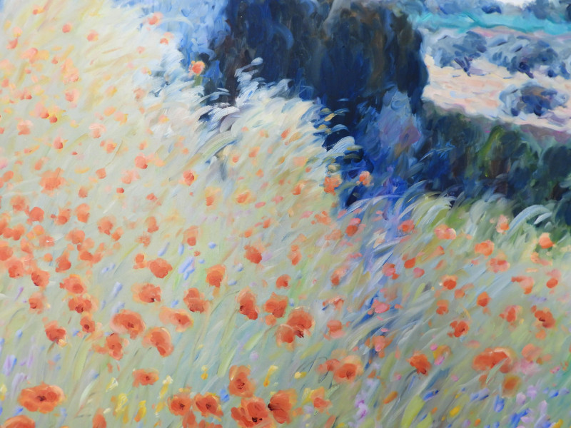 MALVA - Wild Poppies