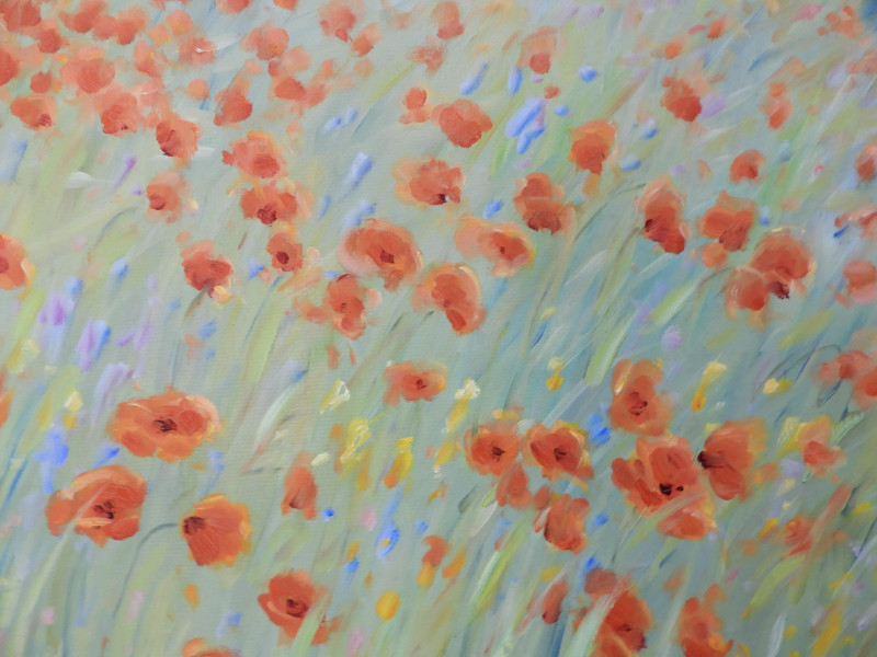 MALVA - Wild Poppies