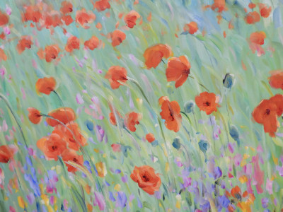 MALVA - Field of Poppies