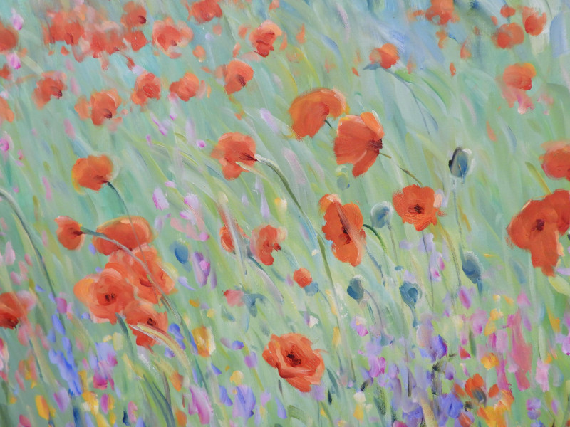 MALVA - Field of Poppies