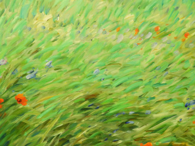 MALVA - Tuscan Field