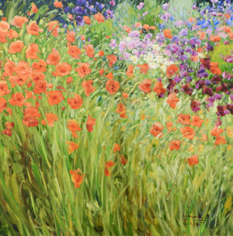 MALVA - Wild Gardens