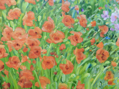 MALVA - Wild Gardens