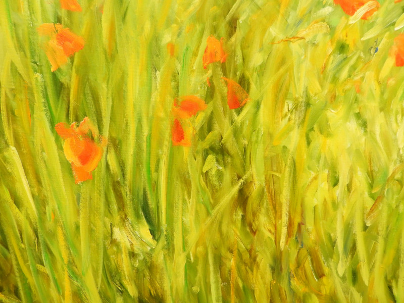 MALVA - Wild Gardens