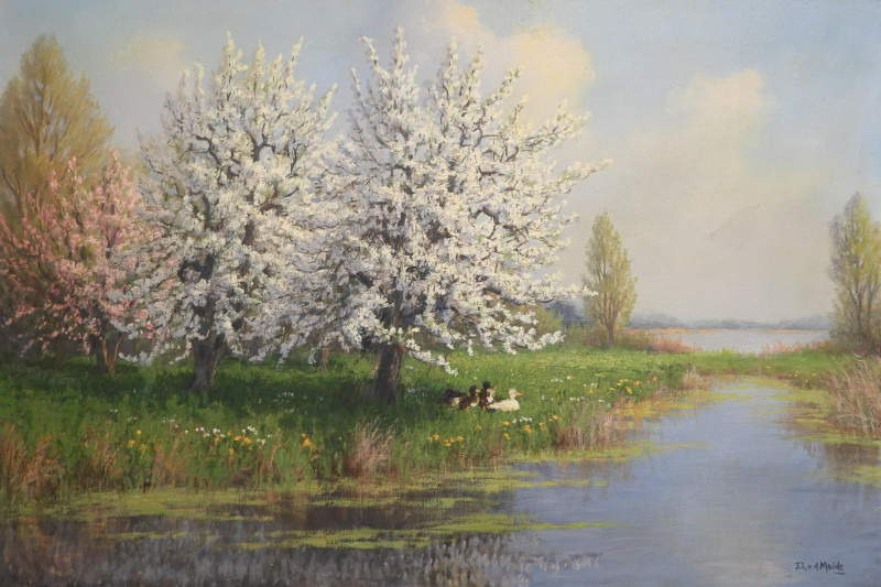 JL van der Meide - Lakeside Ducks