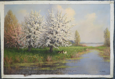 JL van der Meide - Lakeside Ducks