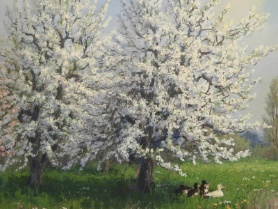 JL van der Meide - Lakeside Ducks