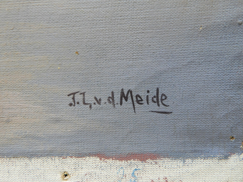 JL van der Meide - Lakeside Ducks