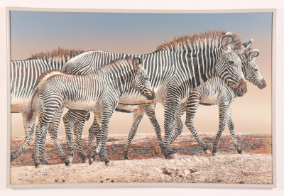 Zebras Anderson Design Group Oil on Canvas
