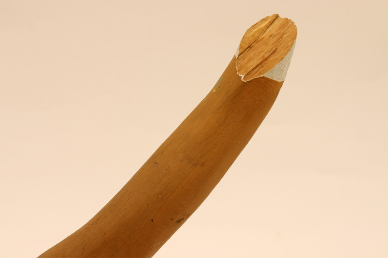 Bryan McNutt, Happy Dog, paint on wood