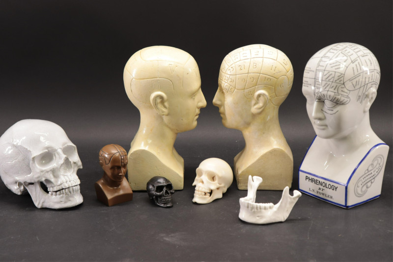 7 Piece Phrenology Lot