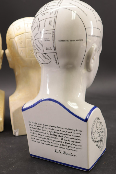 7 Piece Phrenology Lot