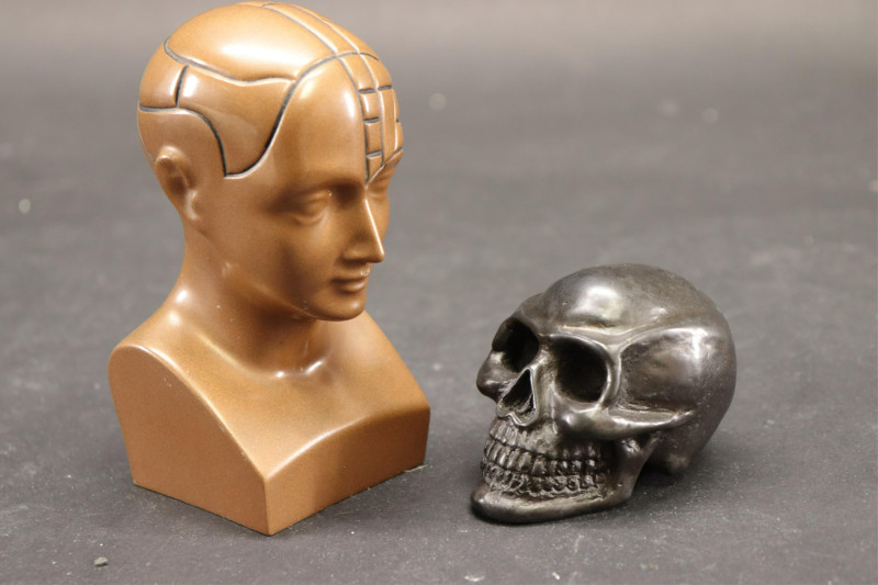7 Piece Phrenology Lot