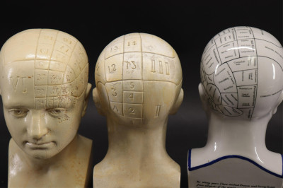 7 Piece Phrenology Lot