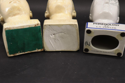 7 Piece Phrenology Lot