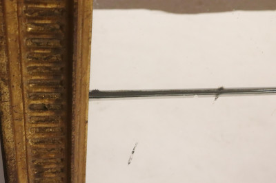 Large Louis XVI Style Gilt Rectangular Mirror